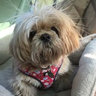 Trish Jones's photo