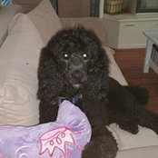 Pilar Farthing's photo