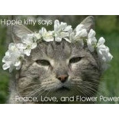 Susan Dean's photo