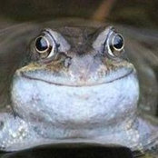 Janet Babbitt-Kerner's photo
