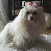 Joanna Smits's photo