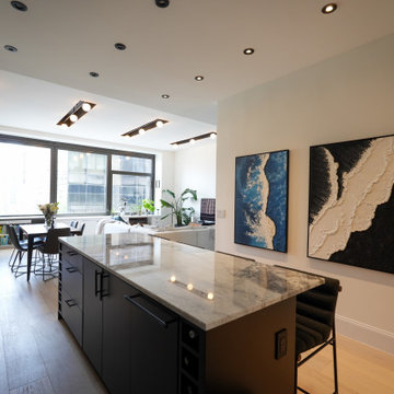 Manhattan Apartment Renovation Project