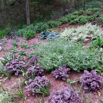 Duneside Shade Garden