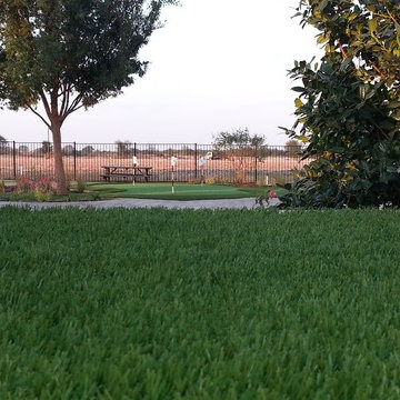 Parker, TX Backyard Artificial Turf