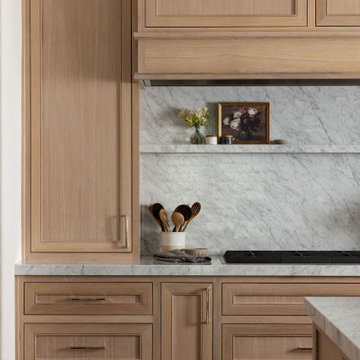 Organic Transitional Home Remodel