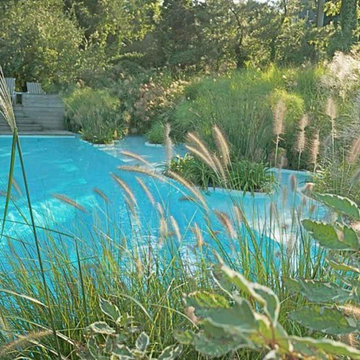 BEAUTIFUL Freeform pool in Long Island New york