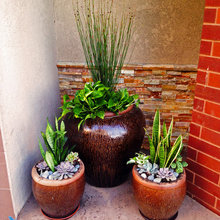 Pots