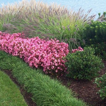Seaside Gardening