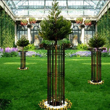 Landscape Ideas