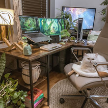 interior designers