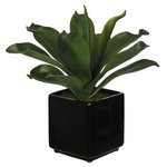 House of Silk Flowers, Inc. - Artificial Agave Succulent in Black Cube Ceramic - This contemporary artificial agave succulent is handcrafted by House of Silk Flowers. This plant will complement any decor, whether in your home or at the office. A professionally-arranged artificial EVA faom agave succulent plant is securely "potted" in a glazed black contemporary cube ceramic vase (6" cube). It is arranged for 360-degree viewing. The overall dimensions are measured leaf tip to lead tip, bottom of planter to tallest leaf tip: 15" tall x 17" diameter. Measurements are approximate, and will be determined by your final shaping of the plant upon unpacking it. No arranging is necessary, only minor shaping, with the way in which we package and ship our products. This item is only recommended for indoor use.
