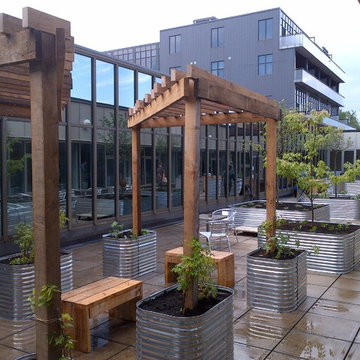 Downtown Toronto rooftop courtyard