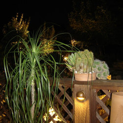 deck plants - Products