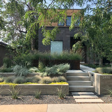 front yard