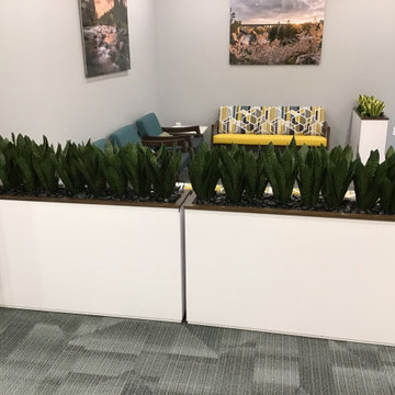 Healthcare-Waiting Area Planters