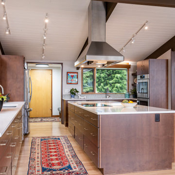 Mid-Century Modern Deck House