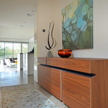 My Houzz: Modern Simplicity in Dallas