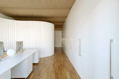 Example of a minimalist hallway design in Other