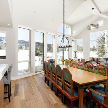Aspen Transitional - New Construction