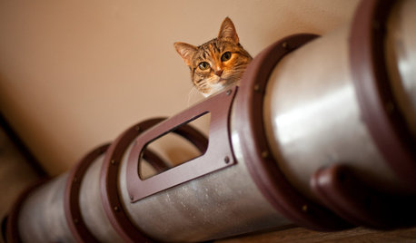 Geek Lab: How to Build a Steampunk Cat Transit System