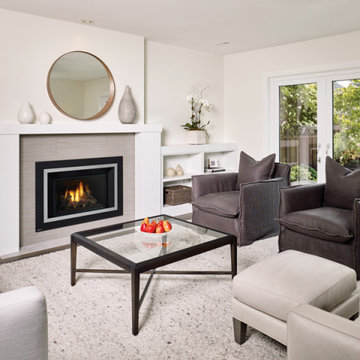 Gas Fireplace Inserts