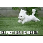 Foto von Pam Stanton_Purinton