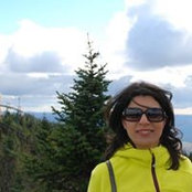 Maryam Shoeybi's photo