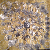 Lauren Whaley's photo