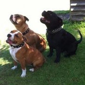 Foto von Leah Mckenzie-Smith