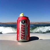 Mike Maguire's photo