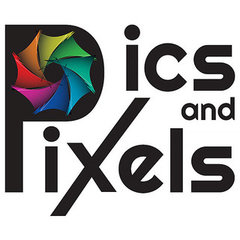 Pics and Pixels