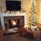 Marcie Perry's photo
