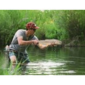 Nathan Leavitt's photo