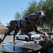 Kingsburg Veterinary's photo