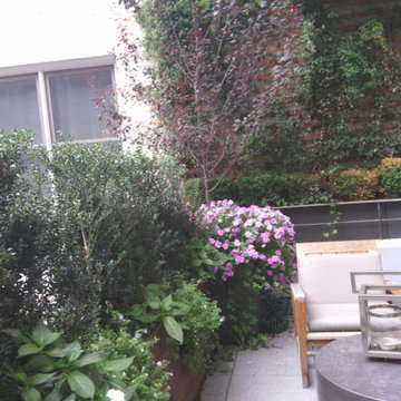 Rooftop garden designers NY