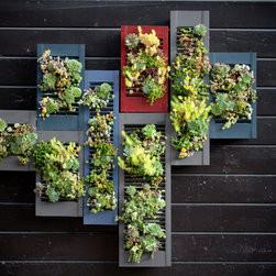 Vertical Gardens - Products