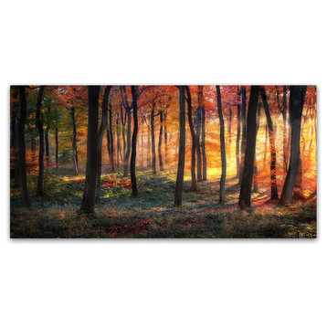 Photokes 'Autumn Woodland Sunrise' Canvas Art, 24x12