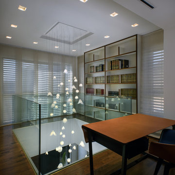 Modern lighting - The Shell chandelier