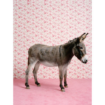 "Donkey on Pink" Canvas Wall Art by Catherine Ledner, 18"x24"