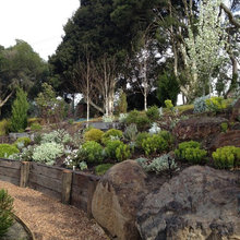 Retaining Wall Ideas