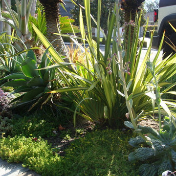 San Juan Capistrano 2012
