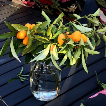Citrus