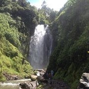 Christine Danis's photo