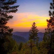 Liz Lemmons's photo