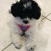 Donna Carroll's photo