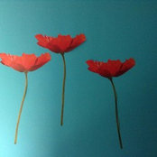 Sandra Barrios's photo
