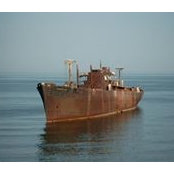 Mircea Serban's photo