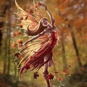 Lisa Venuti's photo