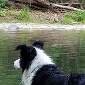 Denise Thomas's photo