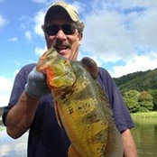 Foto de Greg Gibb
